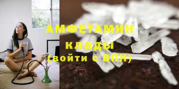 индика Бронницы