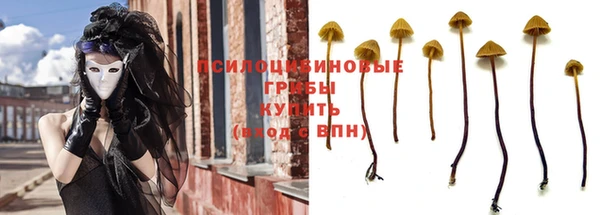 экстази Бородино
