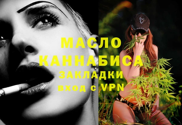 индика Бронницы