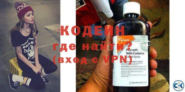 индика Бронницы