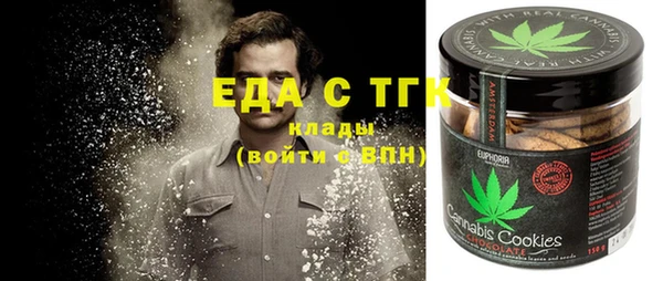 индика Бронницы