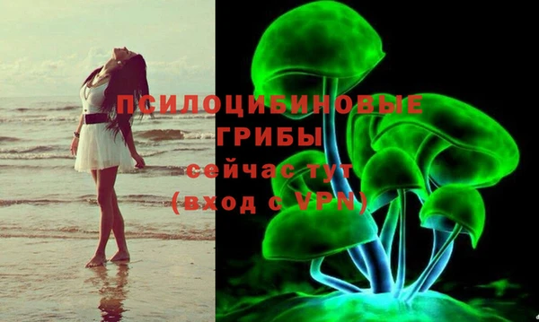 экстази Бородино