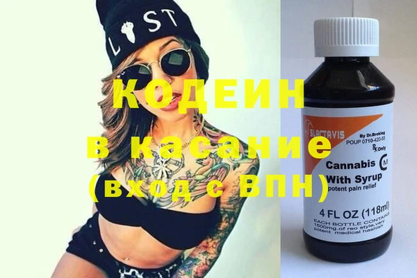 индика Бронницы