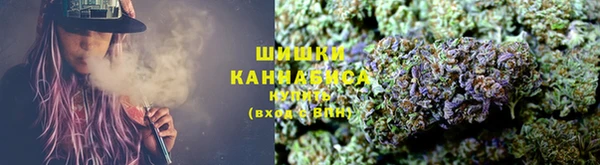 индика Бронницы
