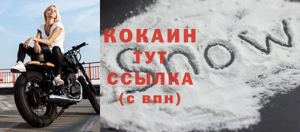 экстази Бородино