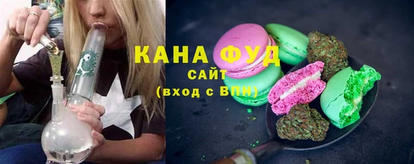 индика Бронницы