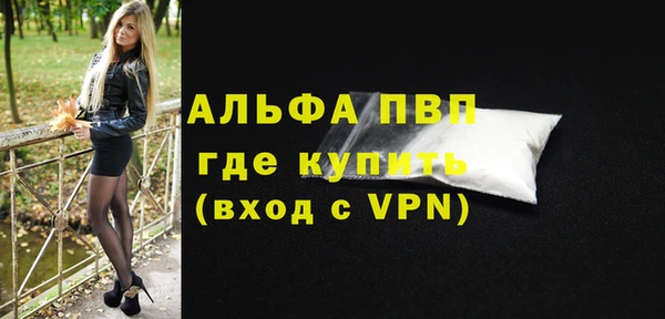 индика Бронницы